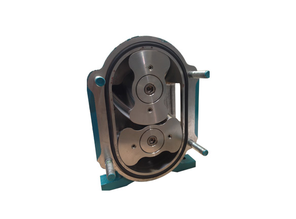 不銹鋼轉子泵是為了適應特殊需要而生