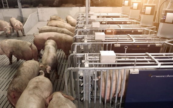 豬糞轉子泵1 豬糞轉子泵1